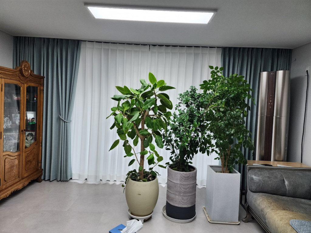 2000769928_xbDsdhL0_a3bb2b81c4979bc6ea8cef51dbb537e76c9999c5.jpg 이미지크게보기